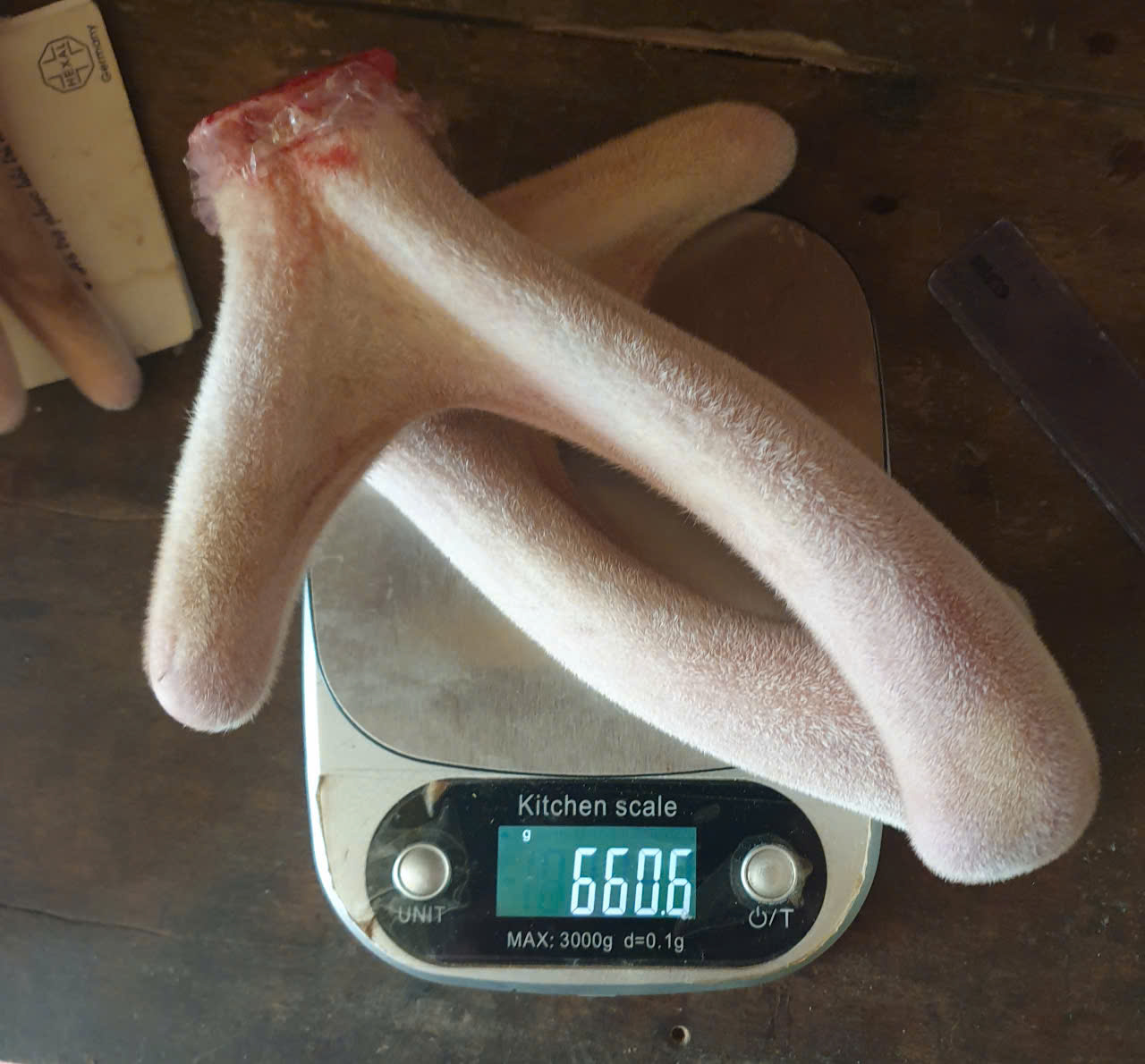 Nhung Hươu Hương Sơn